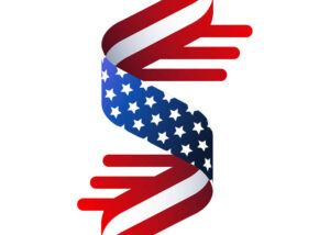 Limitless Ag Solutions Branding - American Flag
